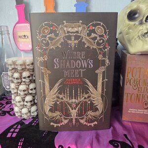 Where Shadows Meet by Patrice Caldwell Fairyloot March 2025 Eternal Embrace